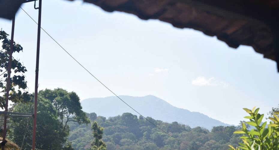 The Misty Miracles, Kodagu, Coorg 5